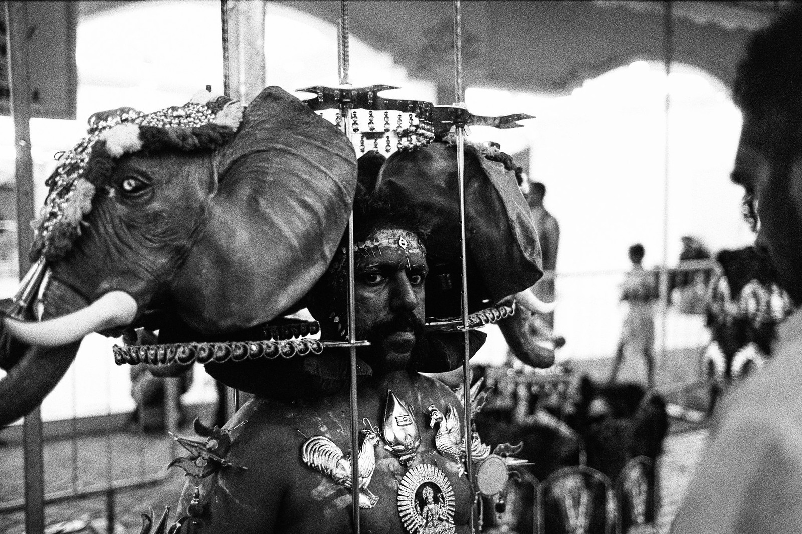 Elephant Man | by Jetlag & A Camera Bag