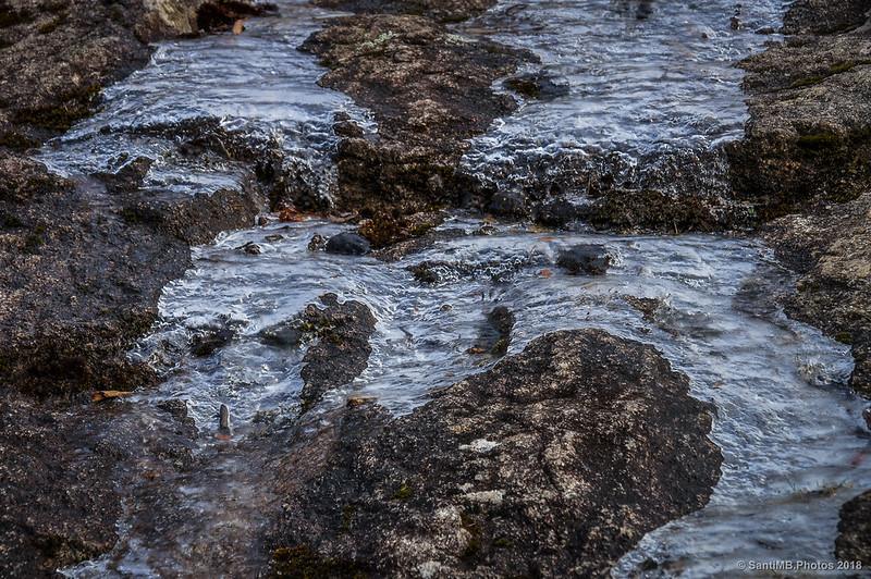 Corriente de agua parcialmente helada sobre una roca