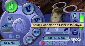 The Sims 2 Pets Adult Ages