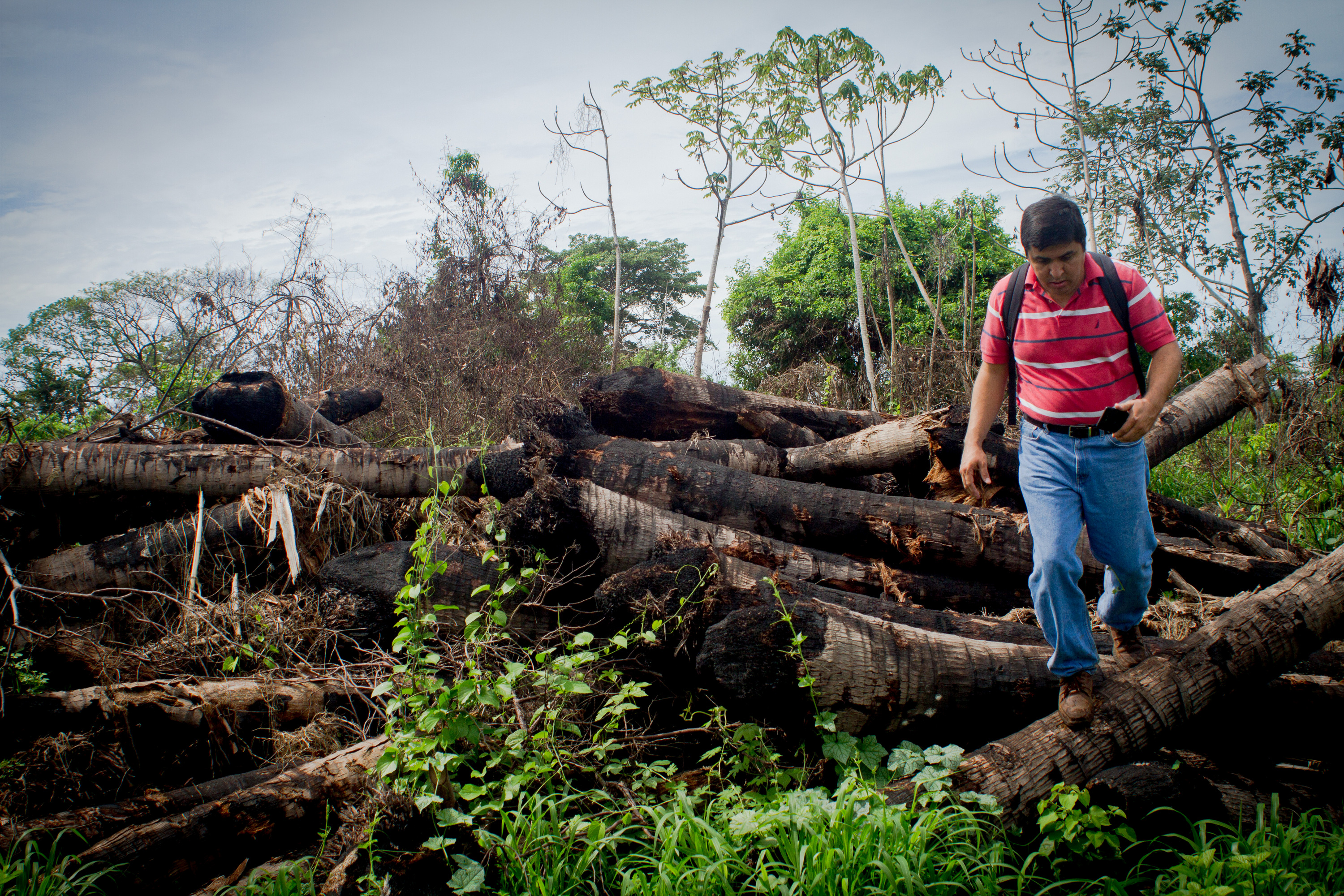 Los Problemas Ambientales Fuera Del Debate Electoral En El Salvador