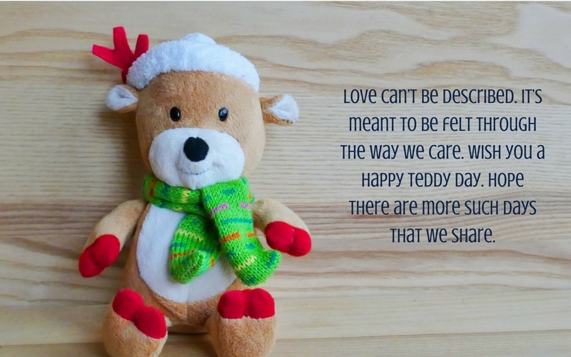 happy teddy day 2022 images 