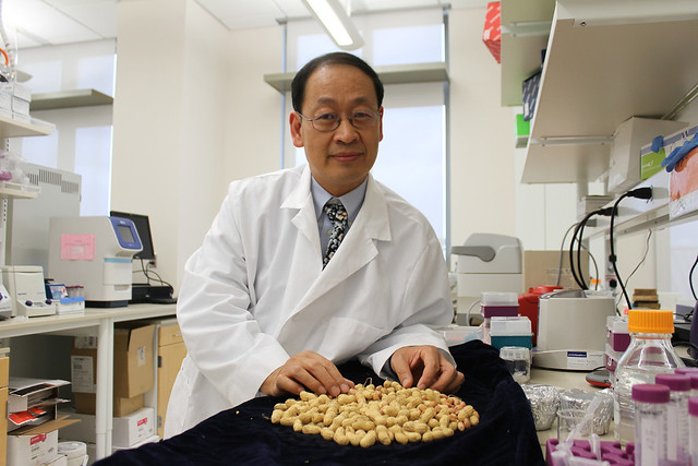 Auburn Professor Charles Chen displays peanuts in his lab