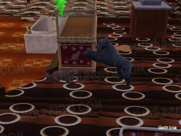 The Sims 2 Pets Playing