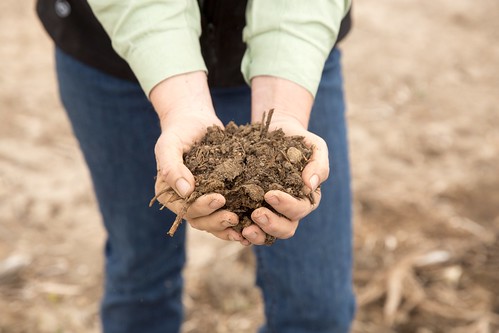 A person holding soil