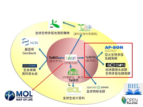 台灣生物多樣性資料庫建置、整合及與國際接軌之架構。圖片來源：邵廣召。