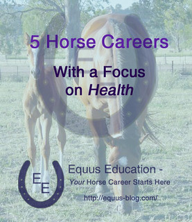 5 Horse Careers with a Focus on Health | Equus Education