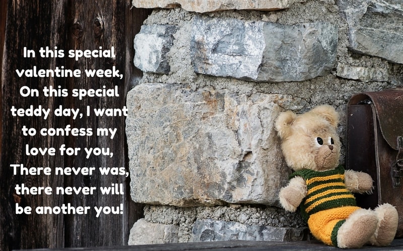 happy teddy day 2022 images 