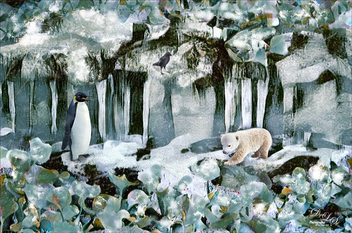 Image of penguin and polar bear in winter scene