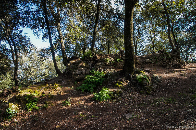 Ruinas entre el Castell de Montsoriu y la Torre de les Bruixes