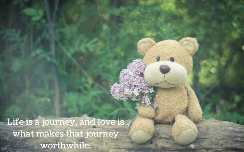 teddy day 2022 quotes and wishes 