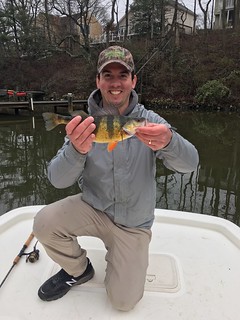 Photo of man holding a yellow perch