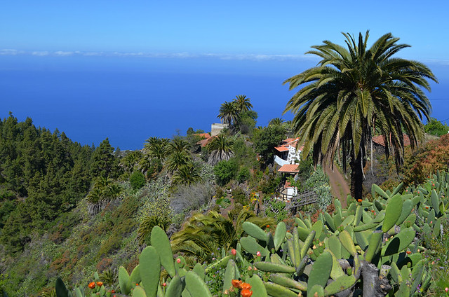 North west, La Palma