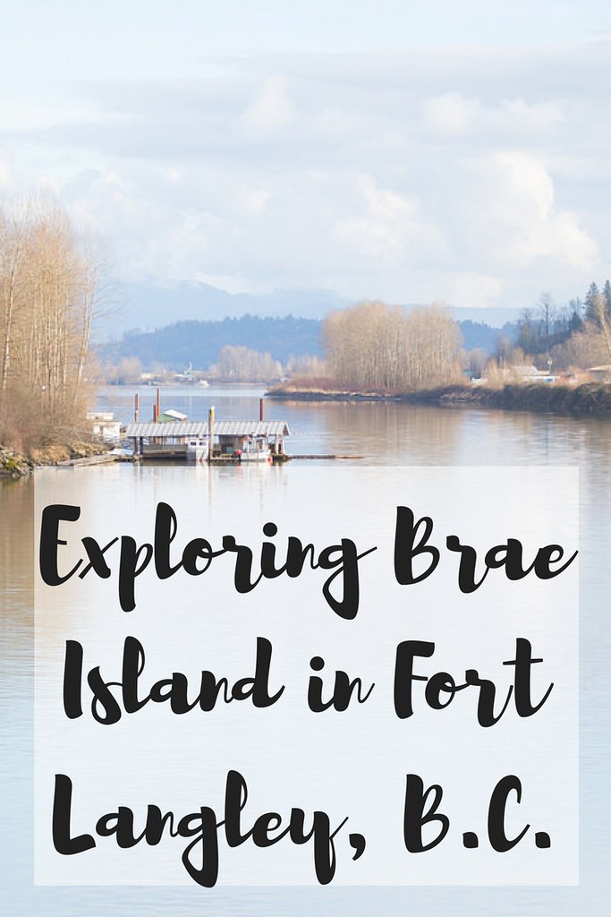 Looking for a new walk to do in Fort Langley, BC? Have you visited the beach on Brae Island?