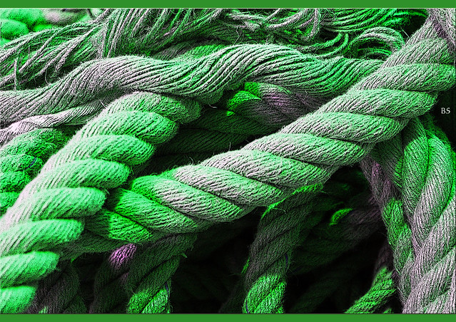 Fotospielereien: Grüne Seile - Rosafarbene Knoten ... Brigitte Stolle