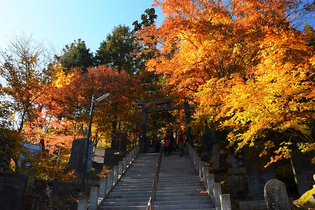 御岳神社の紅葉