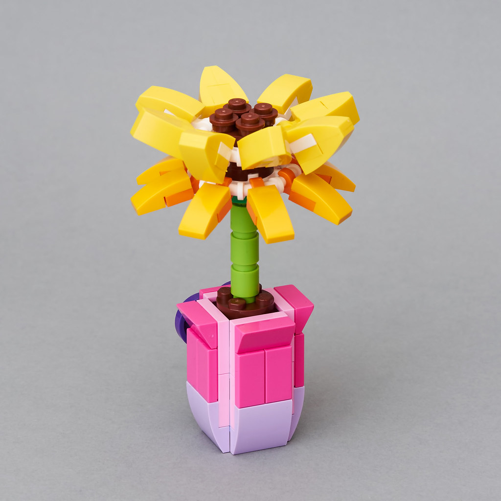 Review: 30404 Friendship Flower | Brickset: LEGO set guide and database