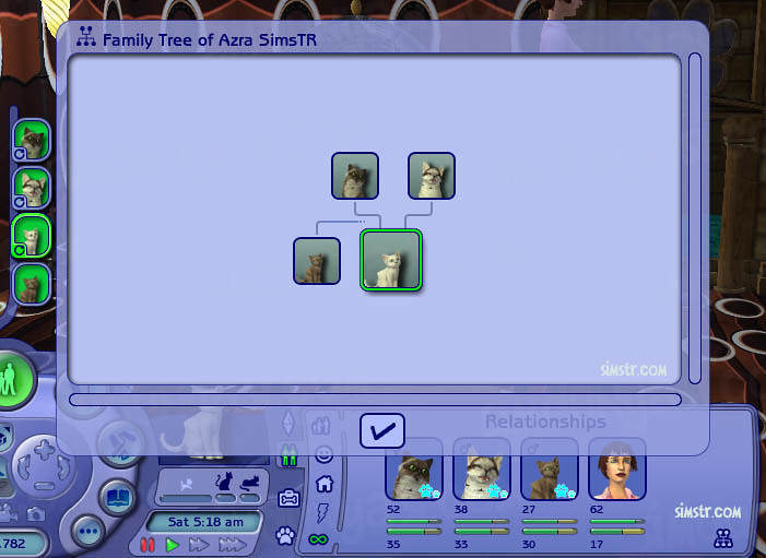 The Sims 2 Pets Family Tree of Kitten