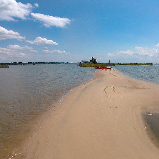 You never know what you will find when you kayak at Belle Isle State Park on Virginia's Northern Neck, like this sandbar