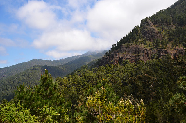 Green Tenerife, Orotava Valley, Tenerife