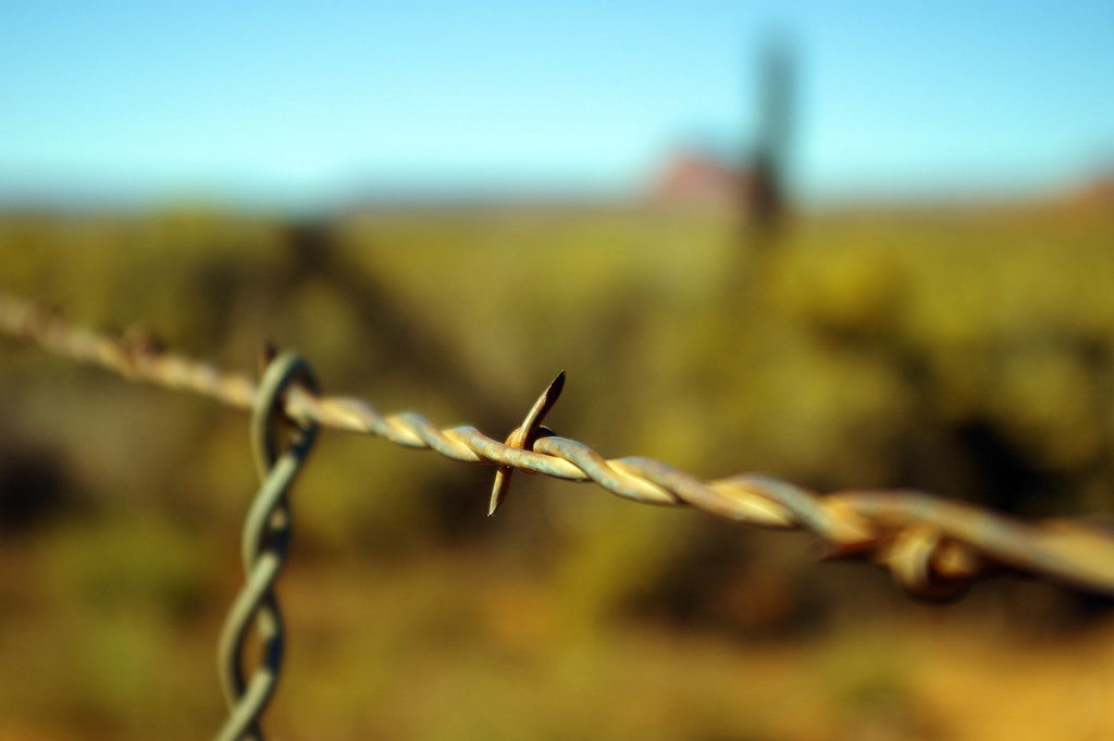 Barbed Wire, Grand Staircase-Escalante National Monument, US 89, Utah, October 9, 2015 (Pentax K-3 II) 37°11'10"N 111°59'44"W