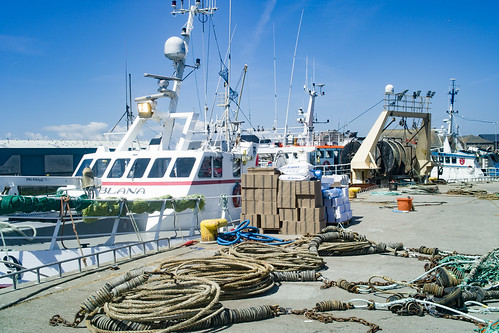  FISHING FLEET IS AT HOME 002 