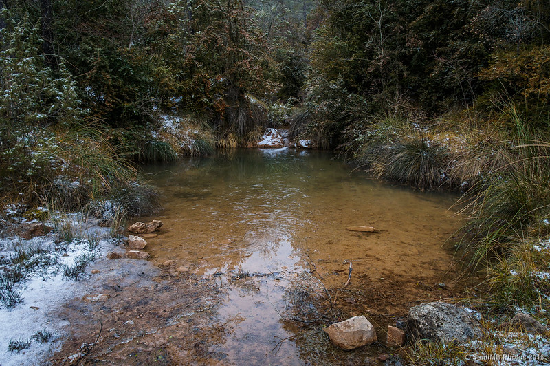 Poza del torrente de Vila-rasa antes de desembocar en la Riera del Molí