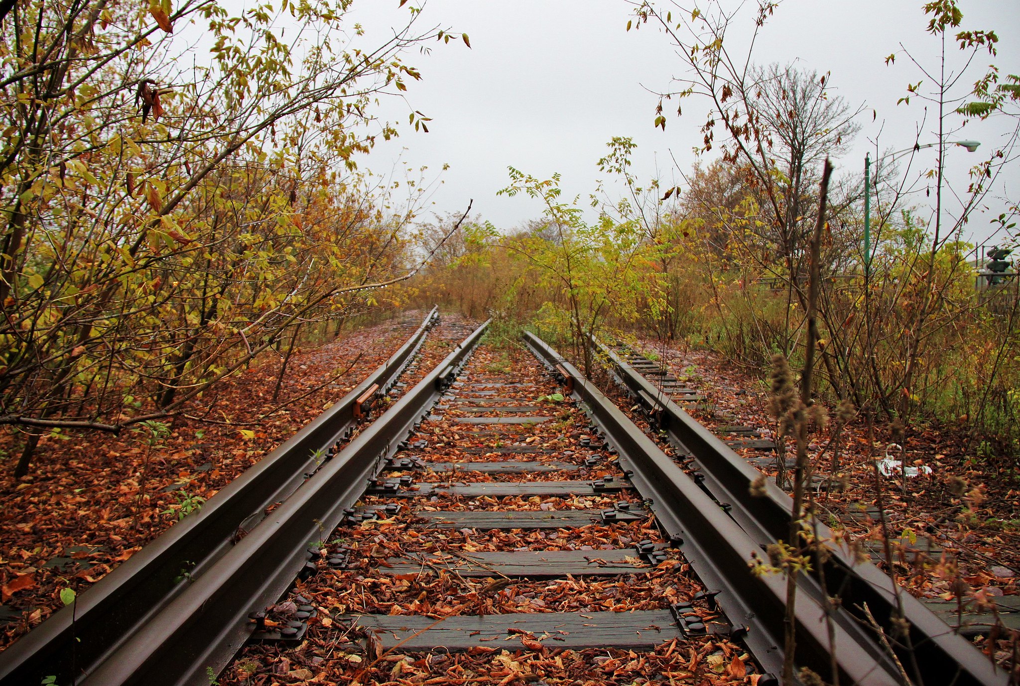 Old Rusty Rails Of An Abandoned Railway Stock Photo 