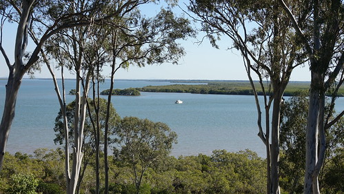 Gladstone, Hervey bay, Fraser Island - Australia en busca del Canguro perdido (4)
