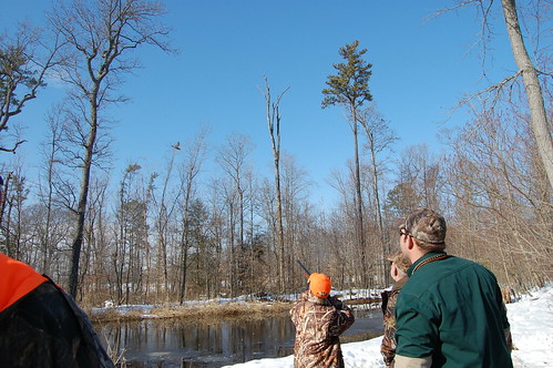 Photo of youth learning to hunt waterfowl