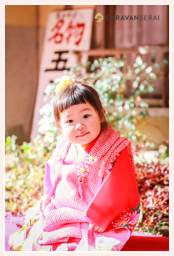 岩屋堂（愛知県瀬戸市）で七五三写真のロケーション撮影　モミジ・紅葉を背景に家族写真　