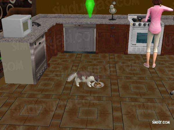 The Sims 2 Pets Human Food Vomiting Cat
