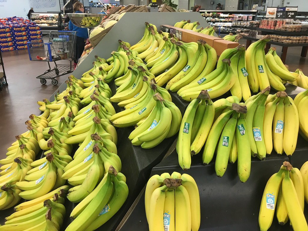 Today’s photo: Bananas in the produce section; shopping after finishing at the gym . February 6, 2018 (Apple iPhone 6s)