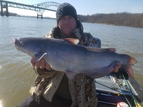 Photo of angler holding up a big blue catfish he caught on the lower Susquehanna River.