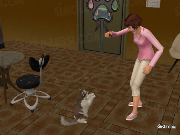 The Sims 2 Pets Give Cracker
