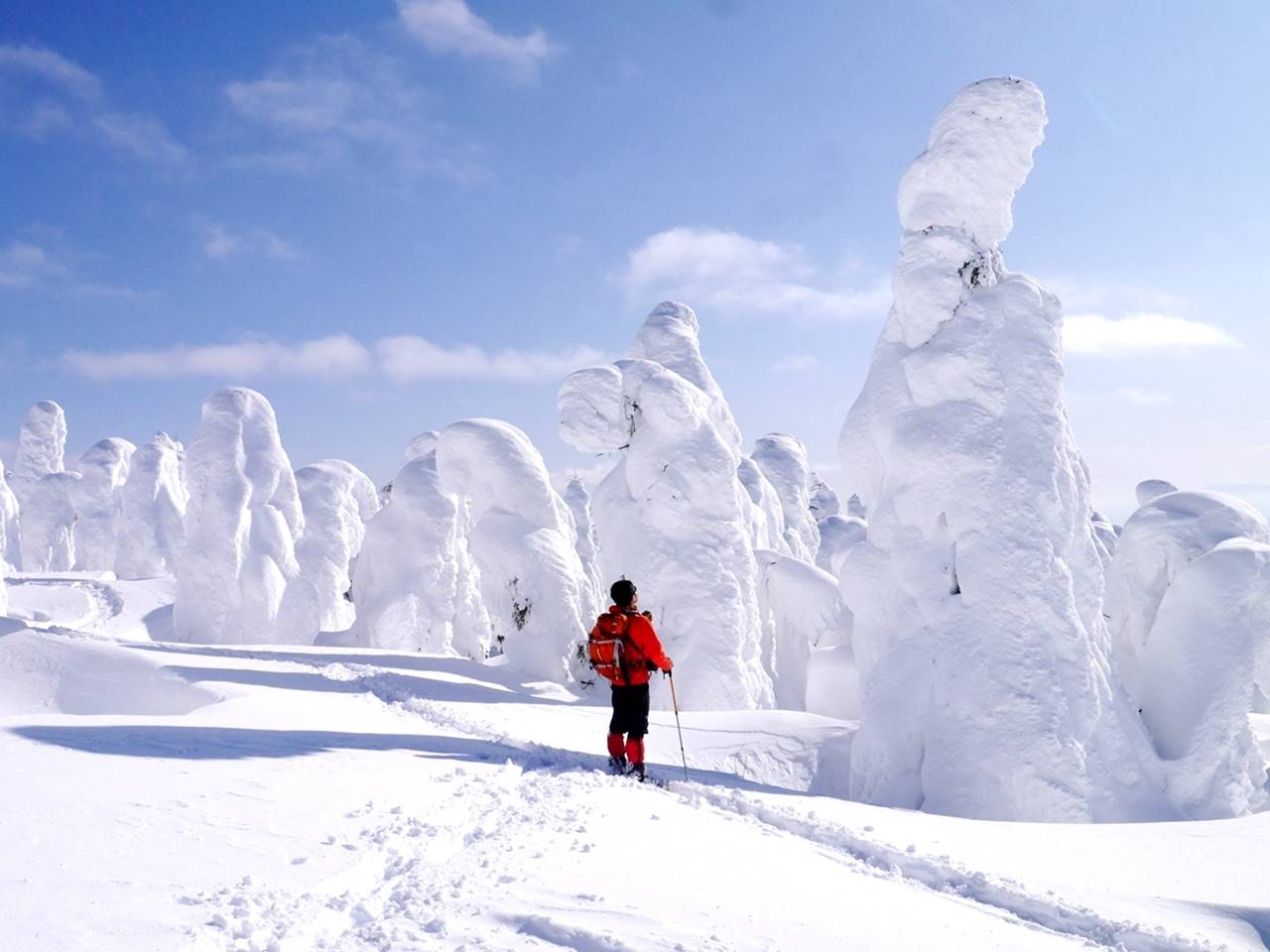 蔵王山　冬の青天と樹氷・スノーモンスターの世界