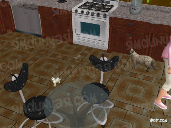 The Sims 2 Pets Give Birth to a Kitten