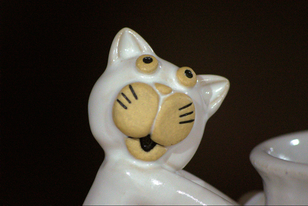 Today’s photo: Cat head on ceramic mug handle; January 30, 2018 (Pentax K-3 II)