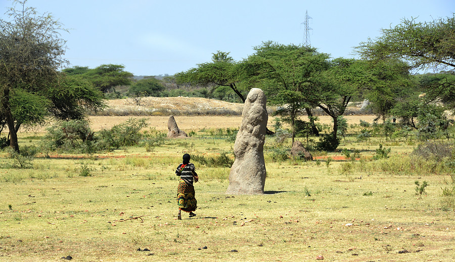 Африканский трип — часть 6 Натуи, Консо, мурси, Джинку, Эфиопии, можно, чтобы, просто, племени, очень, потому, этого, сторону, рядом, сразу, дороге, несколько, других, родителям, сфотографировать
