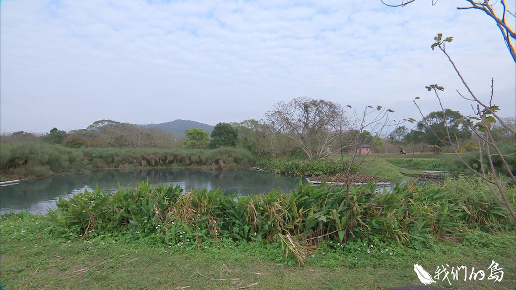 943-3-40竹東環保公園設有濕地，引入部分家庭廢水，希望透過淨化功能，改善水質，但是功能不彰。