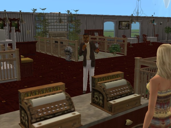 The Sims 2 Open For Business Cashier Kasiyer