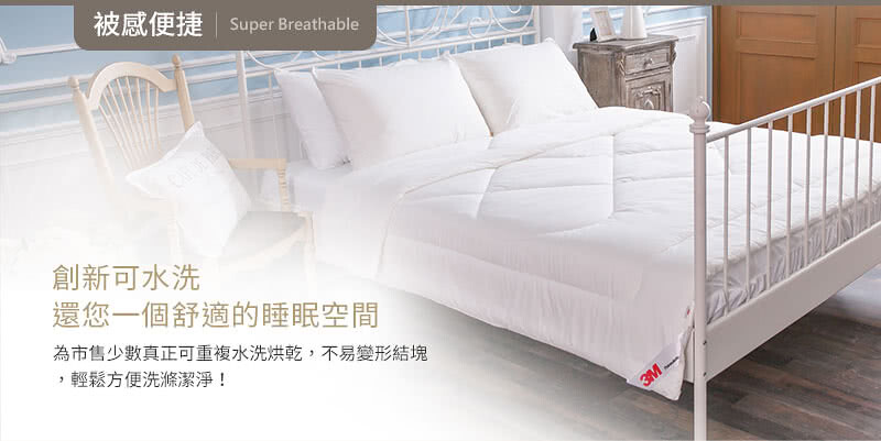 熱銷寢具 送涼感壽司枕X1 3M四季被NZ250 標準雙人 發熱纖維 枕頭 記憶枕 棉被 可水洗