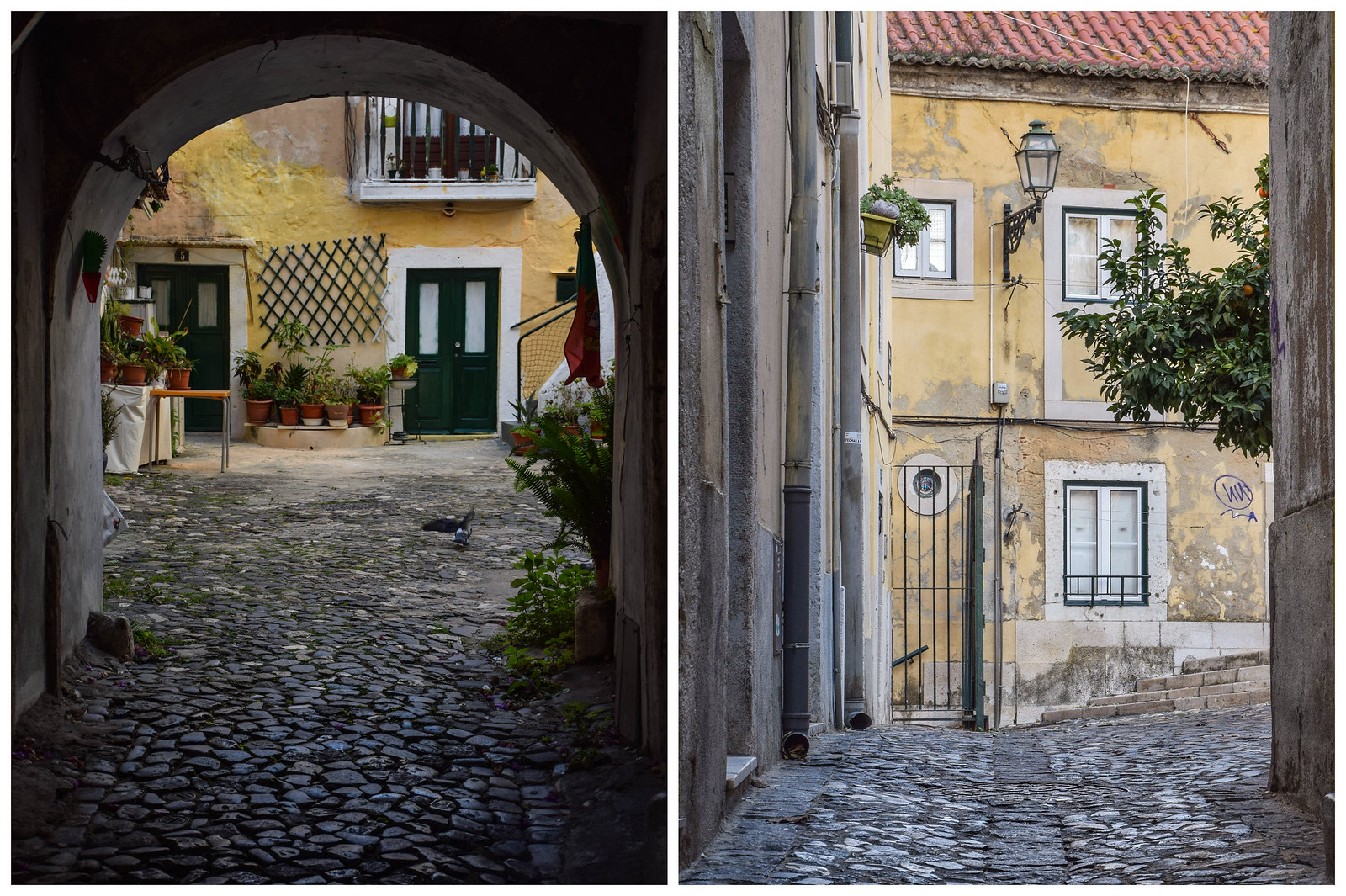 Alfama scenes on a Lisbon photography tour
