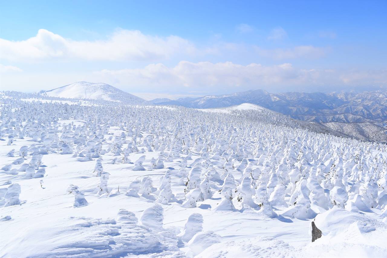 冬の西吾妻山　無数に広がる樹氷・スノーモンスターの世界