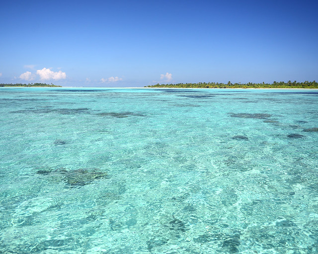 Aguas transparentes llenas de peces tropicales en las islas vírgenes de Maldivas