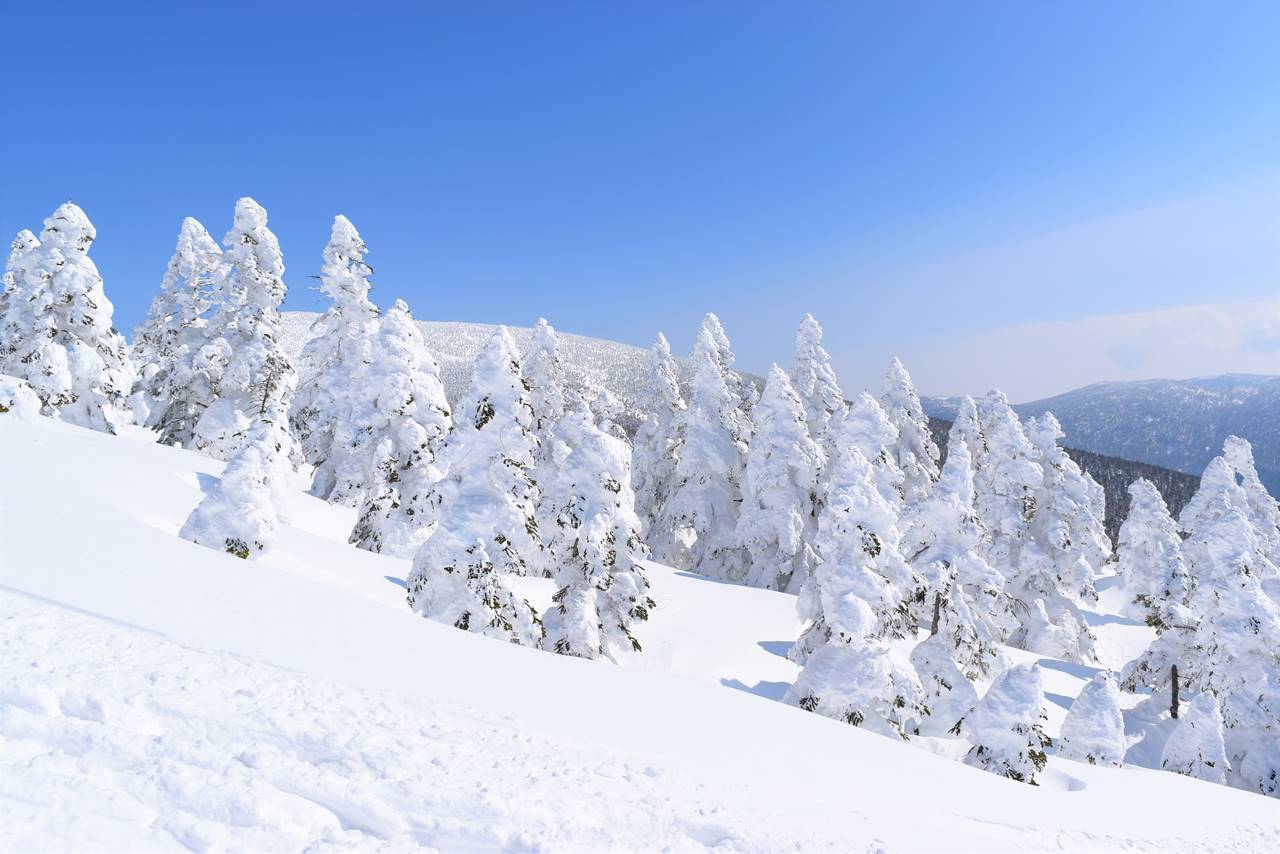 冬の西吾妻山雪山登山・樹氷