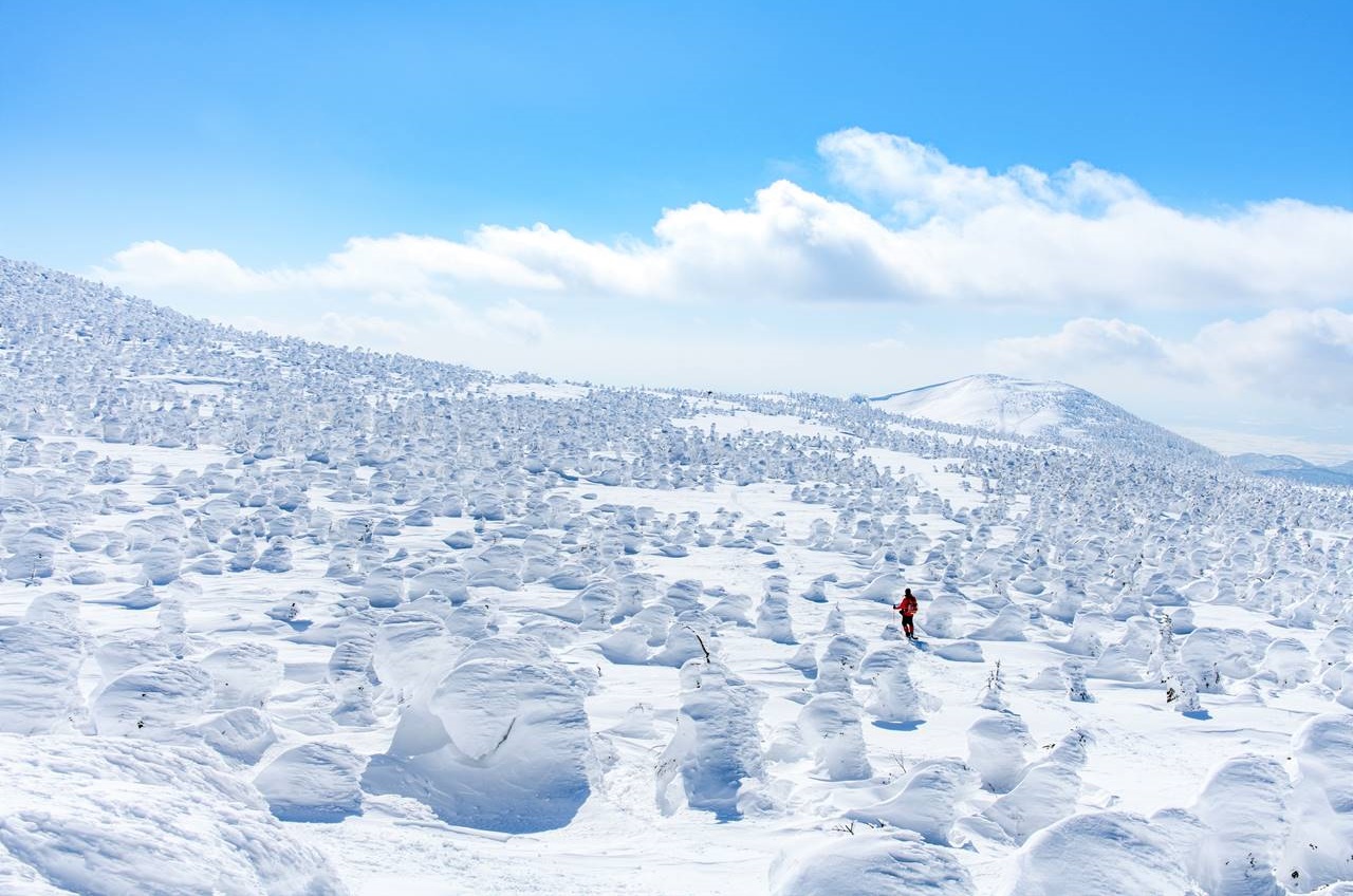 冬の西吾妻山　樹氷・スノーモンスターの世界へ日帰り雪山登山