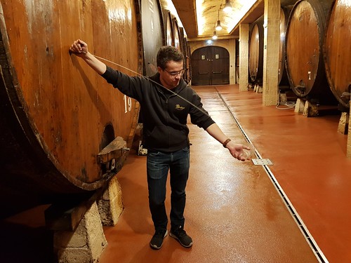 Basque cider cellar