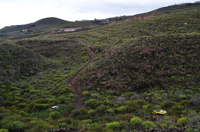 Camino real between San Miguel and Granadilla de Abona, Tenerife