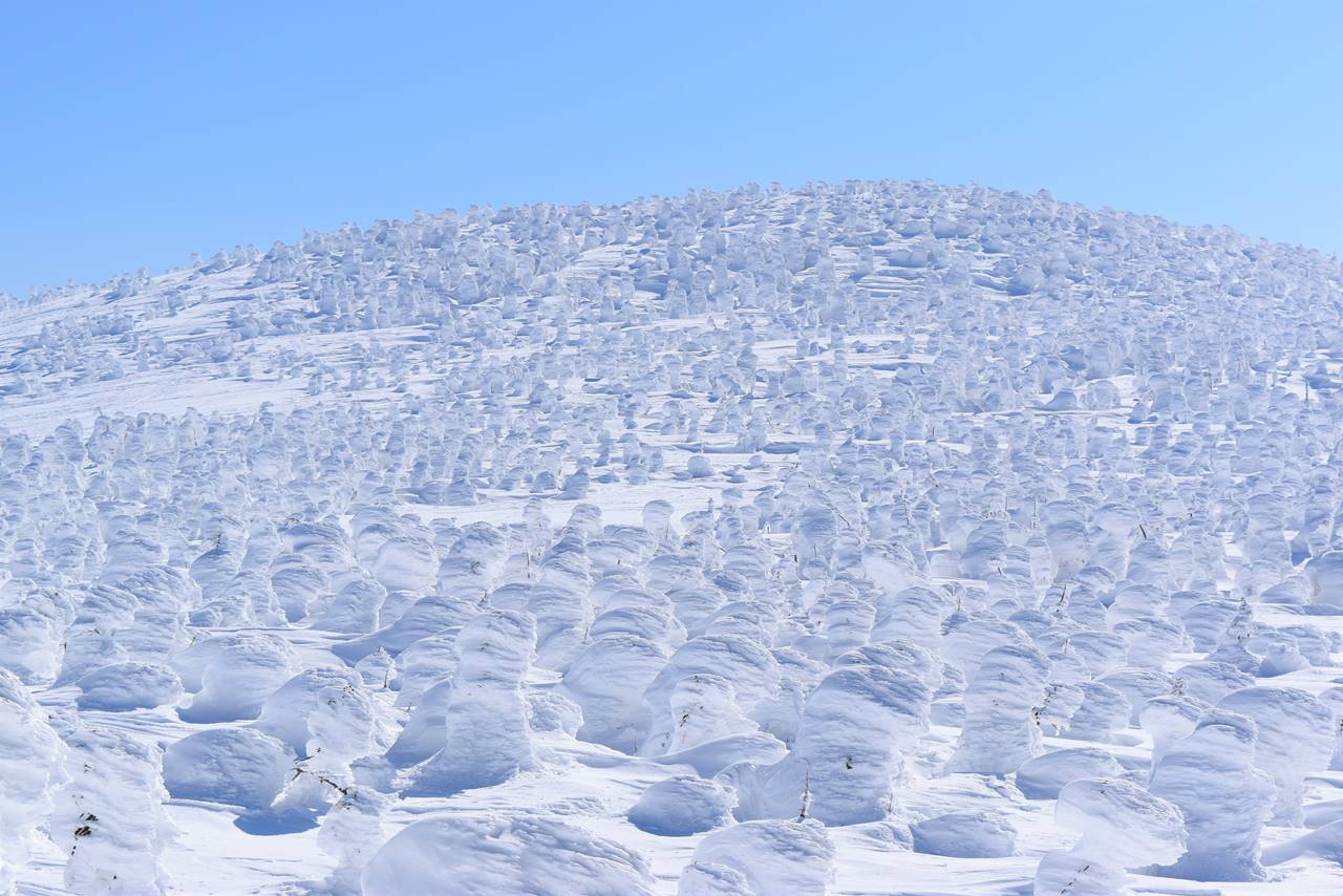 冬の西吾妻山登山　無数の樹氷・スノーモンスター