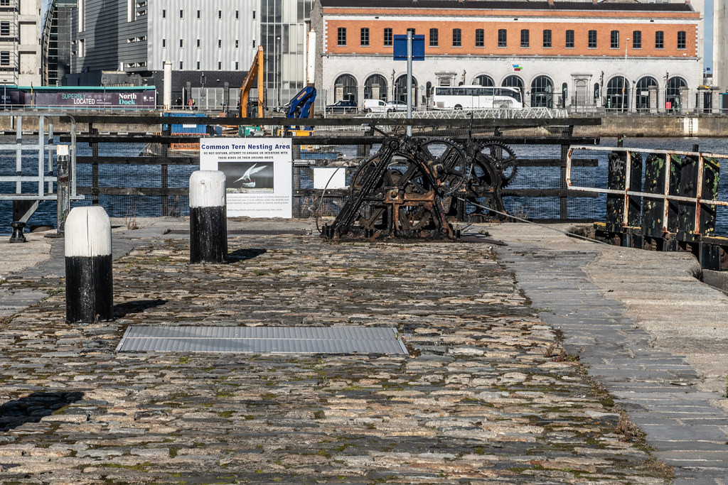 GRAND CANAL DOCK AREA 001